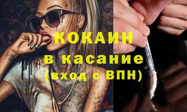 крисы Козельск