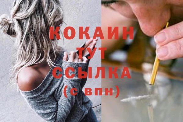 apvp Коряжма