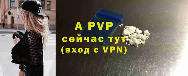 apvp Коряжма