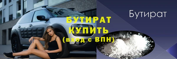 крисы Козельск