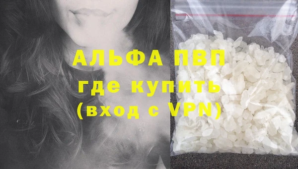 крисы Козельск