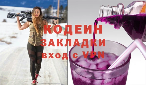 крисы Козельск