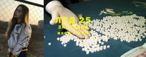 мет Болотное